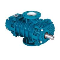 Воздуходувка роторная промышленная Robuschi ROBOX RBS 46